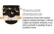 Thermostat intégré du radiateur Martin